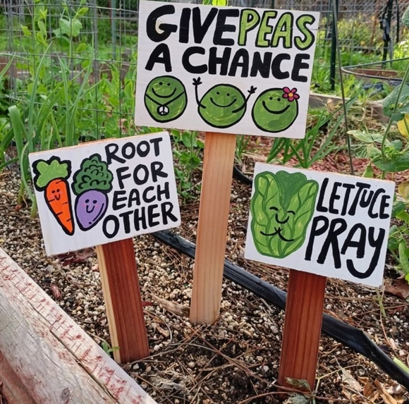 Meet COCOWARES - Picture 5 of 6